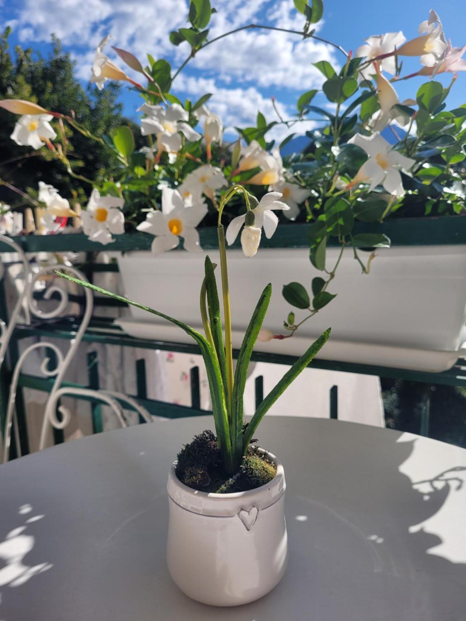 B&B Dal Nonno Riva del Garda Luaran gambar