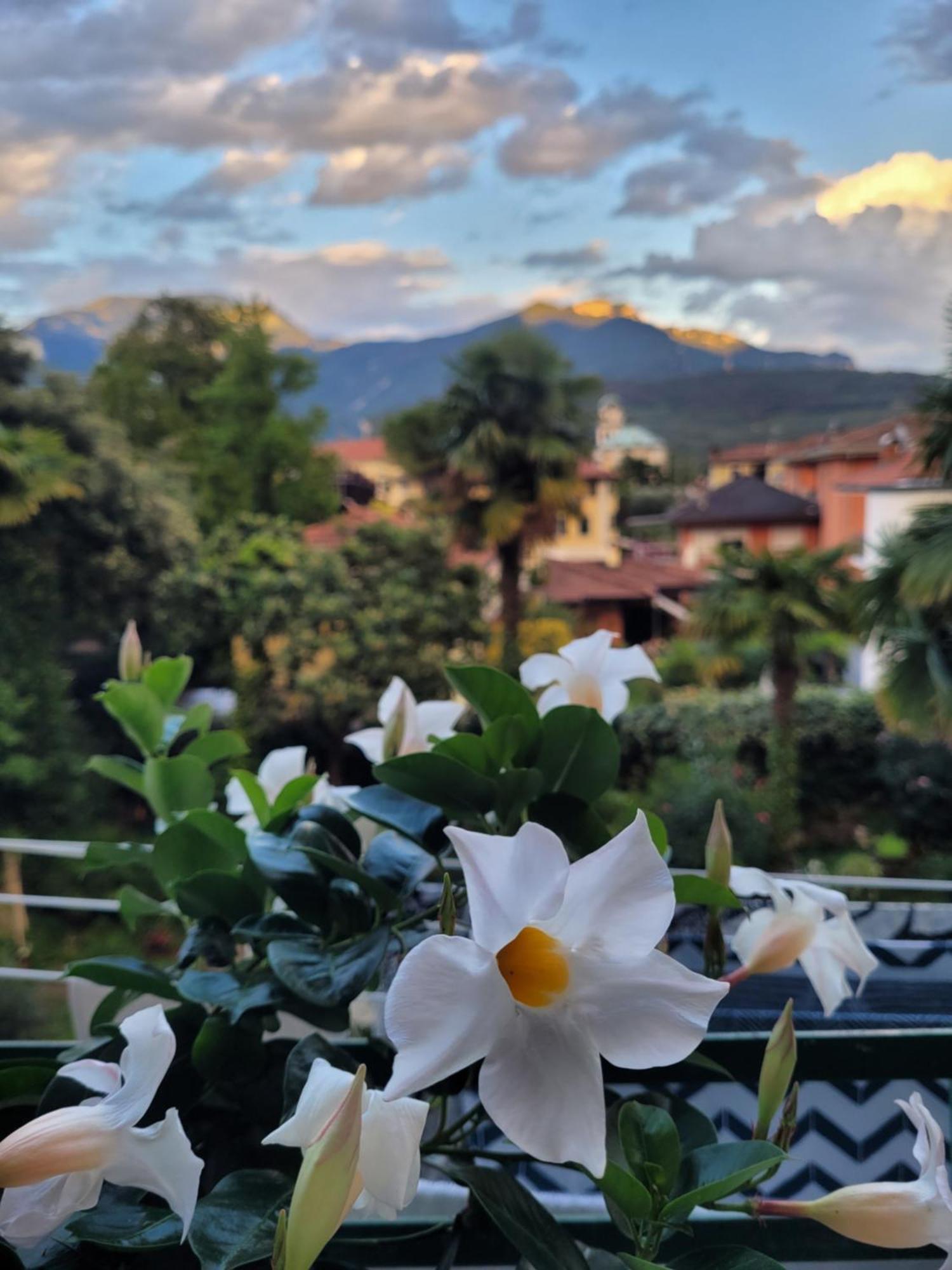 B&B Dal Nonno Riva del Garda Luaran gambar