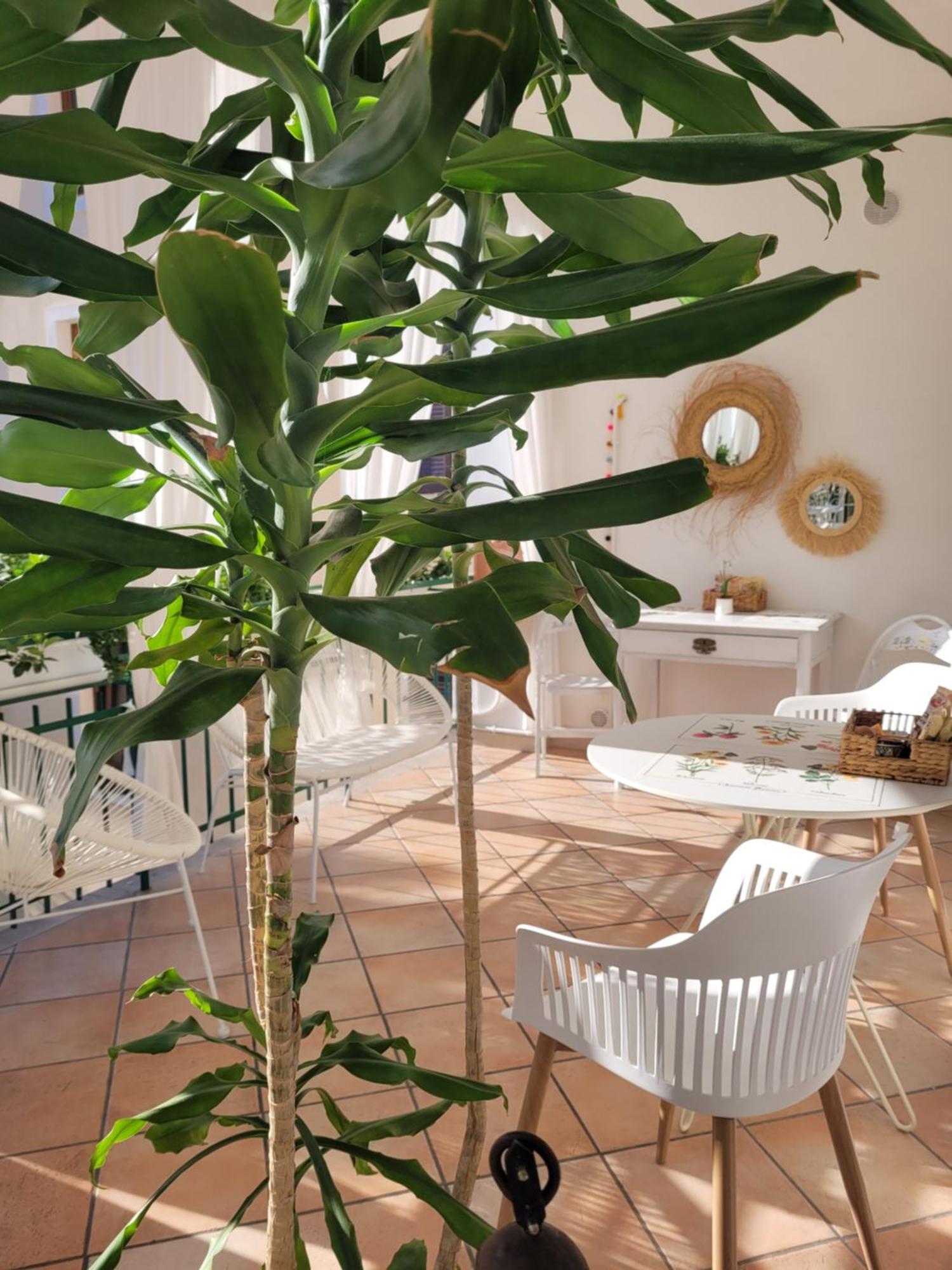 B&B Dal Nonno Riva del Garda Luaran gambar